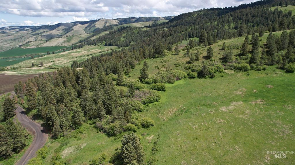 TBD Slickpoo Road, Culdesac, ID 83524 photo 4