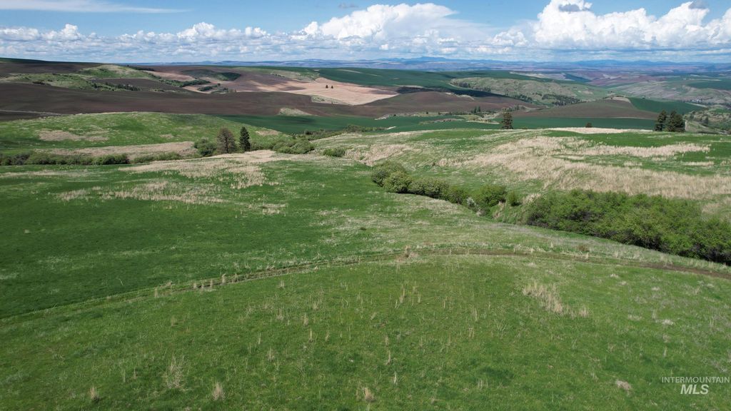 TBD Slickpoo Road, Culdesac, ID 83524 photo 5