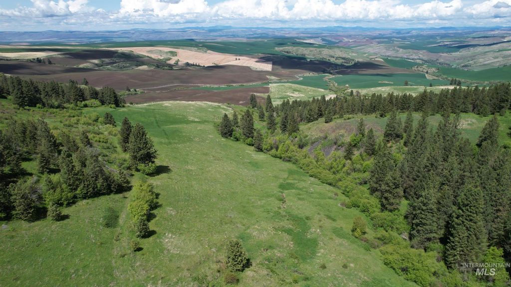 TBD Slickpoo Road, Culdesac, ID 83524 photo 6