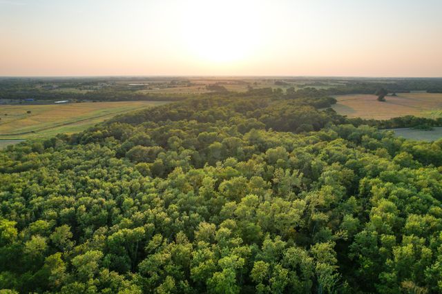 TBD County Road 3550, Honey Grove, TX 75446