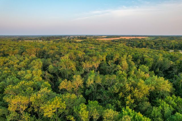 TBD County Road 3550, Honey Grove, TX 75446