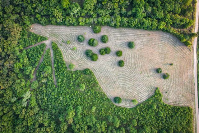 TBD County Road 3550, Honey Grove, TX 75446