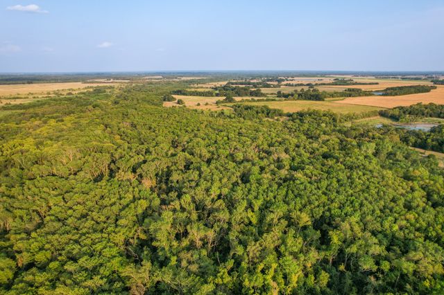 TBD County Road 3550, Honey Grove, TX 75446