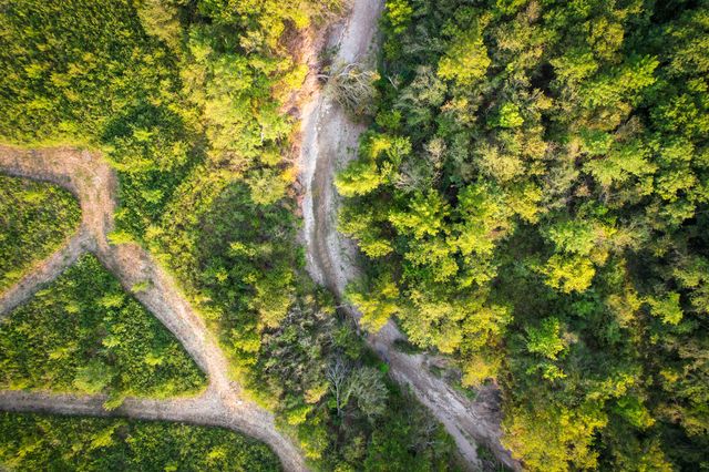 TBD County Road 3550, Honey Grove, TX 75446