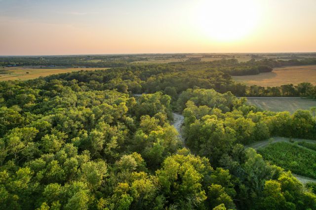 TBD County Road 3550, Honey Grove, TX 75446