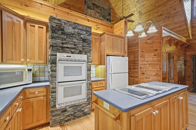 1347 Ivy Log Drive, Blairsville, GA 30512