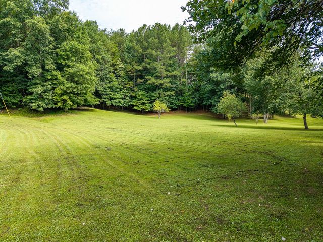 1347 Ivy Log Drive, Blairsville, GA 30512
