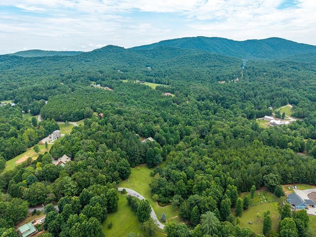 1347 Ivy Log Drive, Blairsville, GA 30512