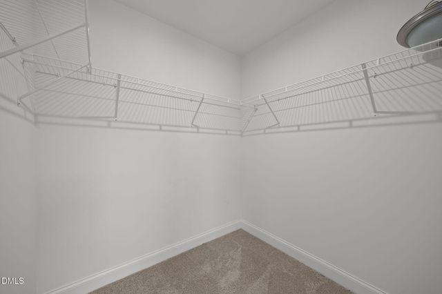 6173 Taylor Road, Wendell, NC 27591