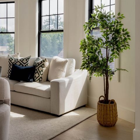 387 Norfolk St 3, Cambridge, MA 02139