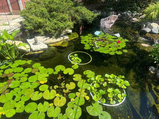 635 Kingsbury Court, Batavia, IL 60510