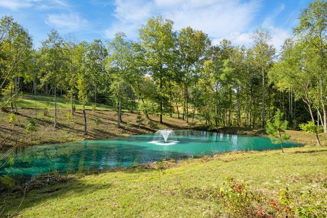 6065 Stone Cliff Ln, Franklin, TN 37064