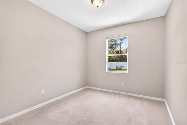 2586 PLUMADORE DRIVE, Grand Island, FL 32735