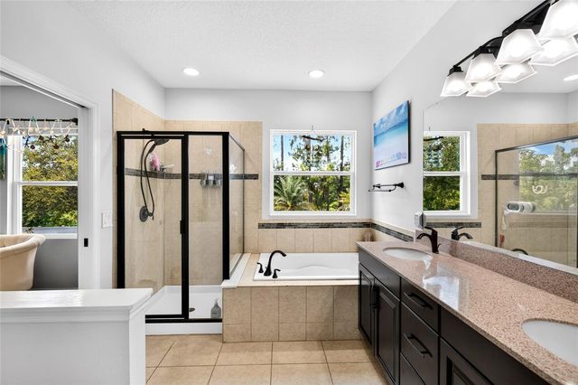 2586 PLUMADORE DRIVE, Grand Island, FL 32735