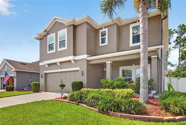 2586 PLUMADORE DRIVE, Grand Island, FL 32735