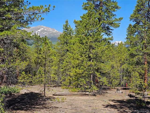 426 Sequoia Drive, Twin Lakes, CO 81251