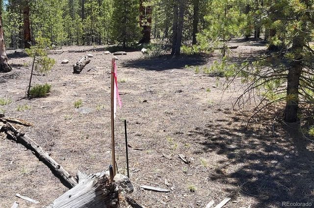 426 Sequoia Drive, Twin Lakes, CO 81251