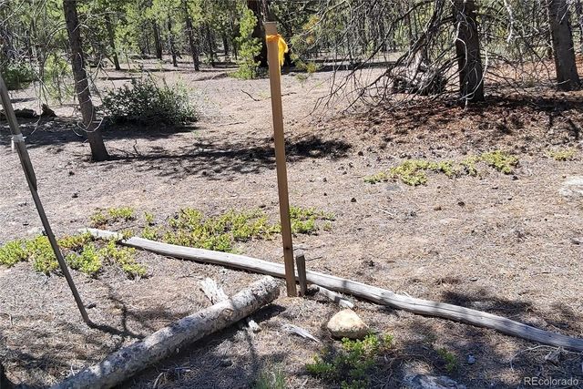 426 Sequoia Drive, Twin Lakes, CO 81251