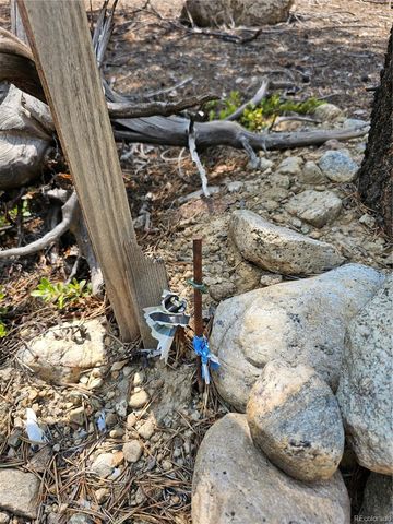 426 Sequoia Drive, Twin Lakes, CO 81251