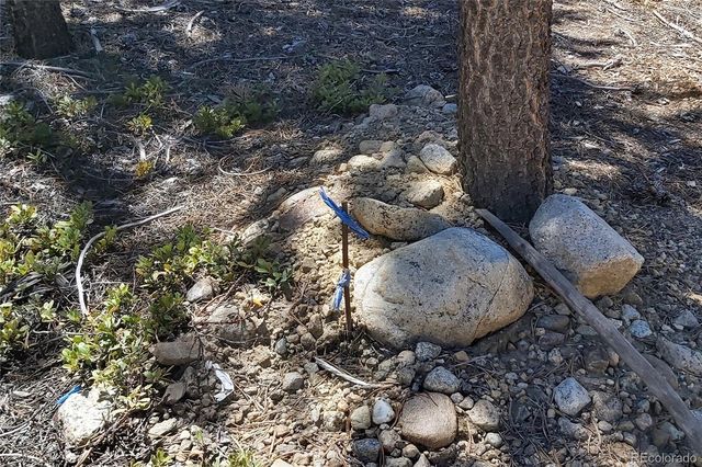 426 Sequoia Drive, Twin Lakes, CO 81251