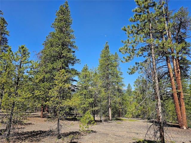 426 Sequoia Drive, Twin Lakes, CO 81251