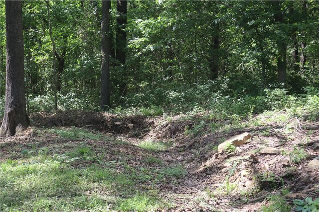 14810 Goshen Tuttle Road, Elkins, AR 72727
