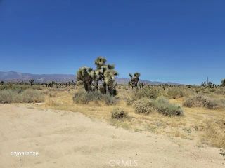0 Daisy, Phelan, CA 92371