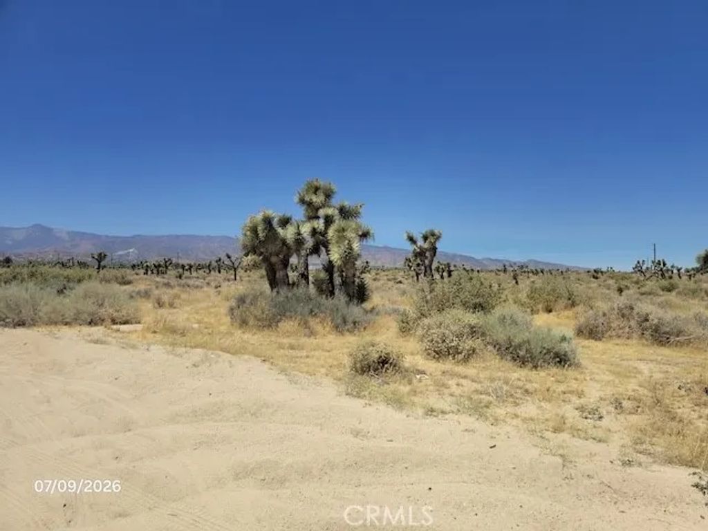 0 Daisy, Phelan, CA 92371