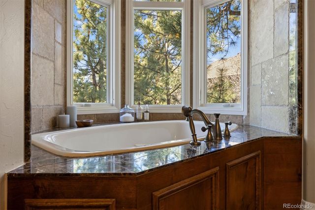 674 Red Pass Lane, Castle Rock, CO 80108