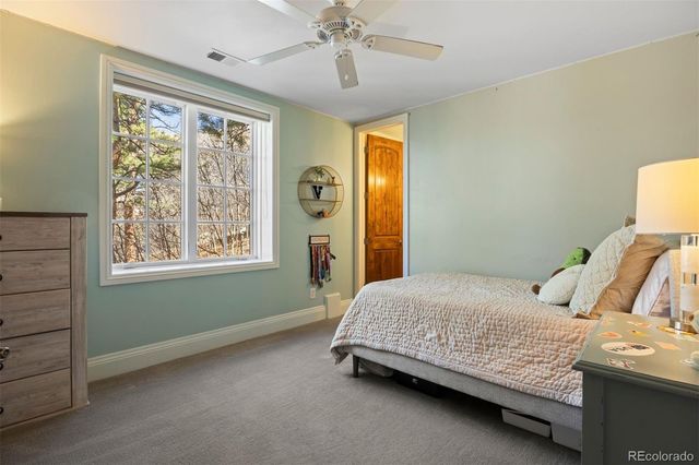 674 Red Pass Lane, Castle Rock, CO 80108