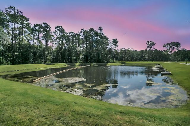 3864 Summerton Street, Mount Pleasant, SC 29466