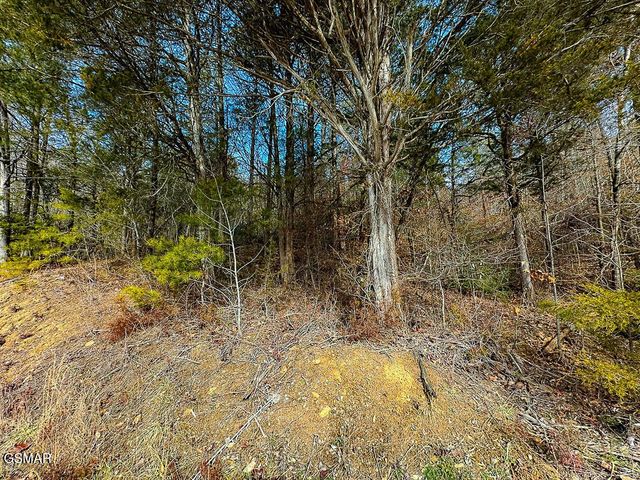 3 Kellum Creek Road, Sevierville, TN 37876