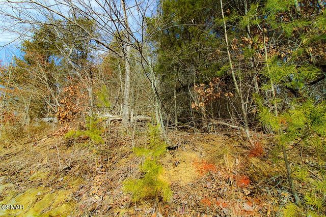 3 Kellum Creek Road, Sevierville, TN 37876