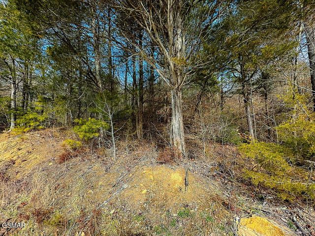 3 Kellum Creek Road, Sevierville, TN 37876
