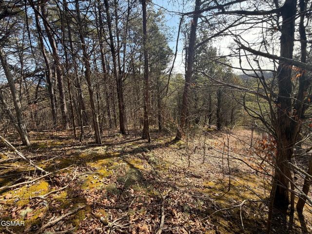 3 Kellum Creek Road, Sevierville, TN 37876
