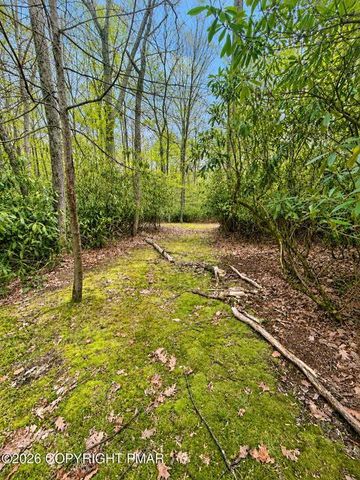 4120 Greenwood Drive, Polk Twp, PA 18058