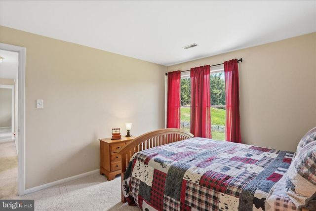 59 HARRY SETTLE RD, Castleton, VA 22716