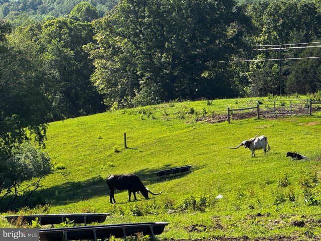 59 HARRY SETTLE RD, Castleton, VA 22716