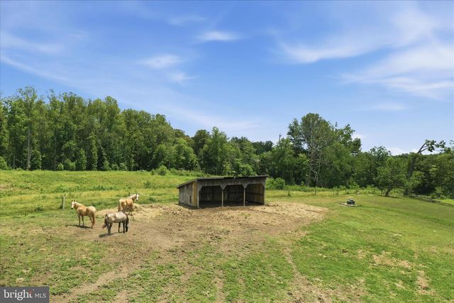 59 HARRY SETTLE RD, Castleton, VA 22716