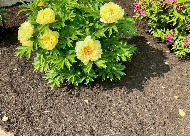 375 New York 22B, Peru, NY 12972