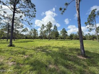 0 Petty Road Parcel B, Marianna, FL 32448