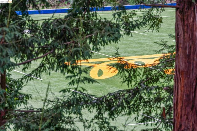 39 Canyon Rd, Berkeley, CA 94704