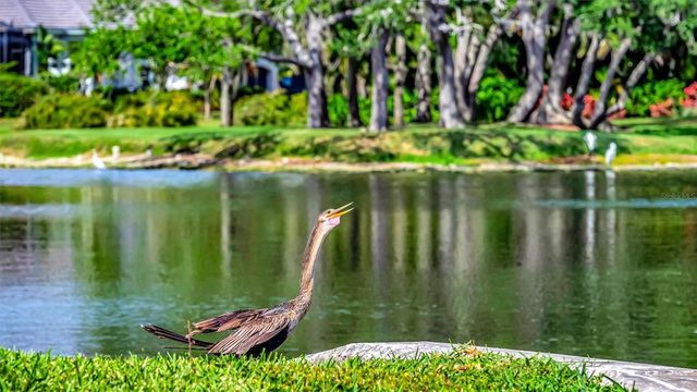 1846 AMBERWYND CIRCLE W, Palmetto, FL 34221