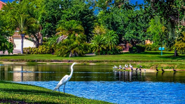 1846 AMBERWYND CIRCLE W, Palmetto, FL 34221