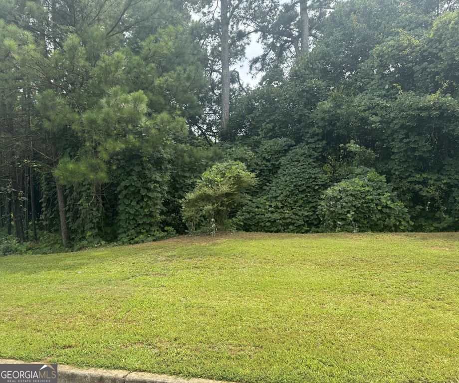 500 McCain Creek Trail, Stockbridge, GA 30281