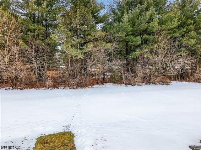 5 Fisher Ct, East Amwell Twp., NJ 08551