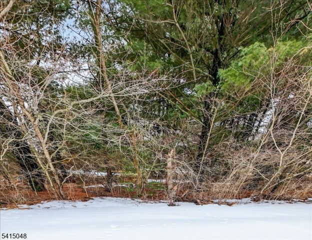 5 Fisher Ct, East Amwell Twp., NJ 08551