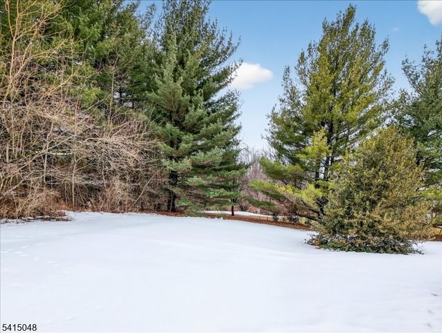 5 Fisher Ct, East Amwell Twp., NJ 08551