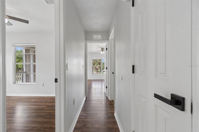 3801 MACHADO STREET, Tampa, FL 33610