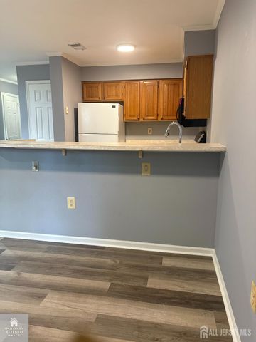 208 Hidden Woods Court, Piscataway, NJ 08854